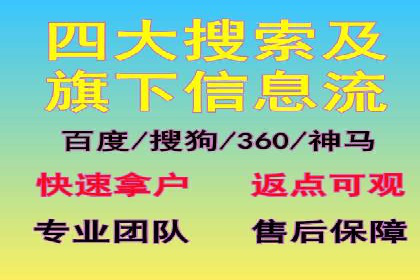 SEM专员实战案例解析